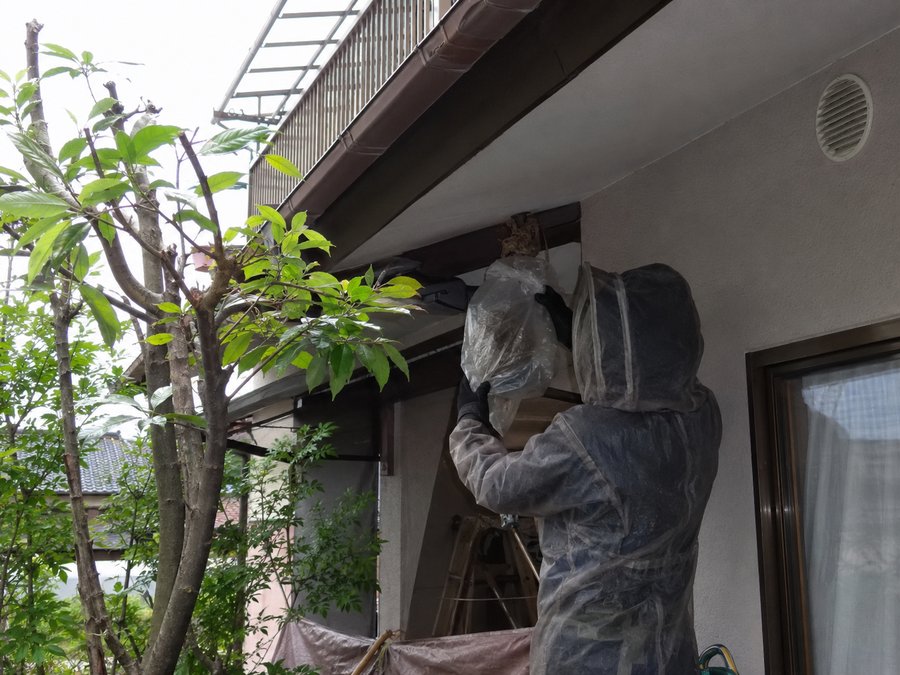 各務原市で軒下の蜂の巣を駆除するオリジンサービスのスタッフ